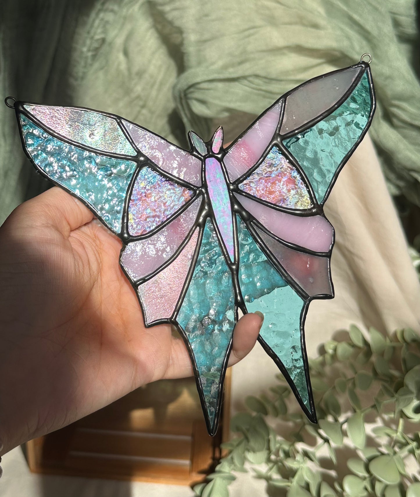 Moth Stained Glass
