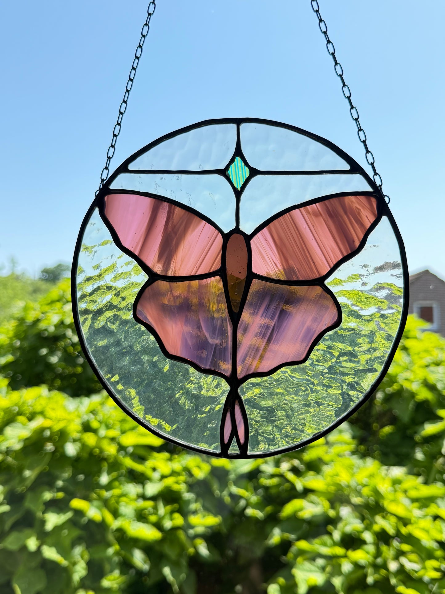 Moth Stained Glass