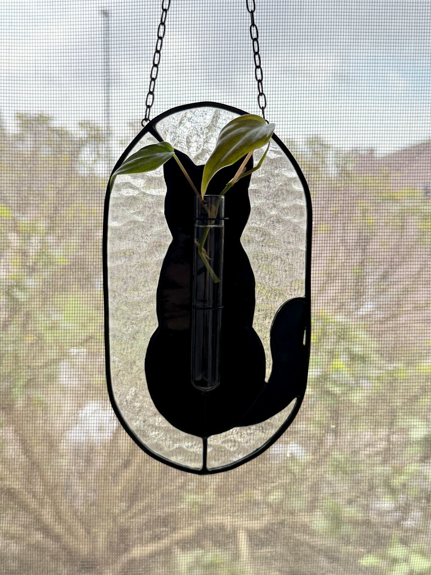 Cat Plant Propagation Stained Glass