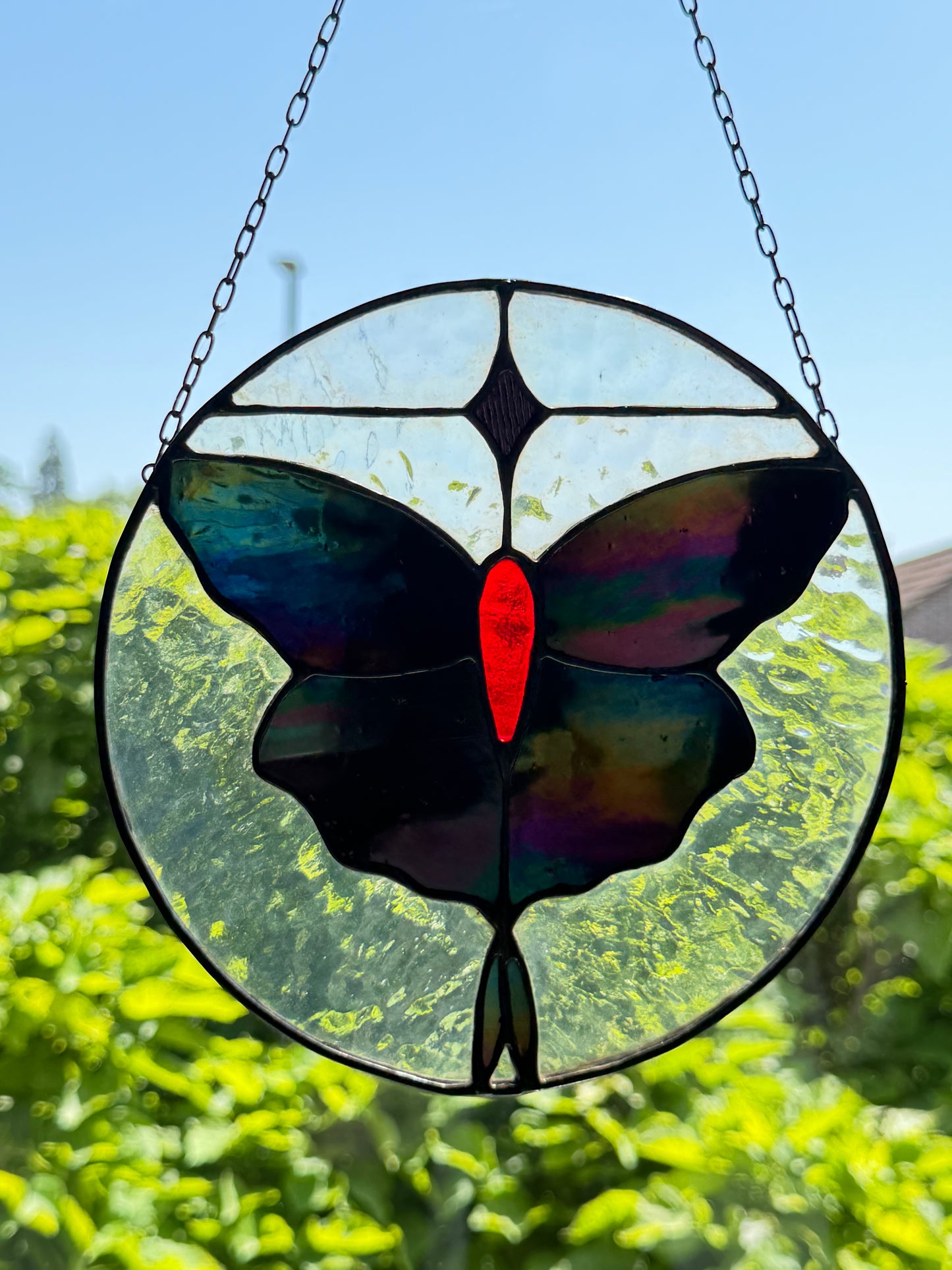 Moth Stained Glass