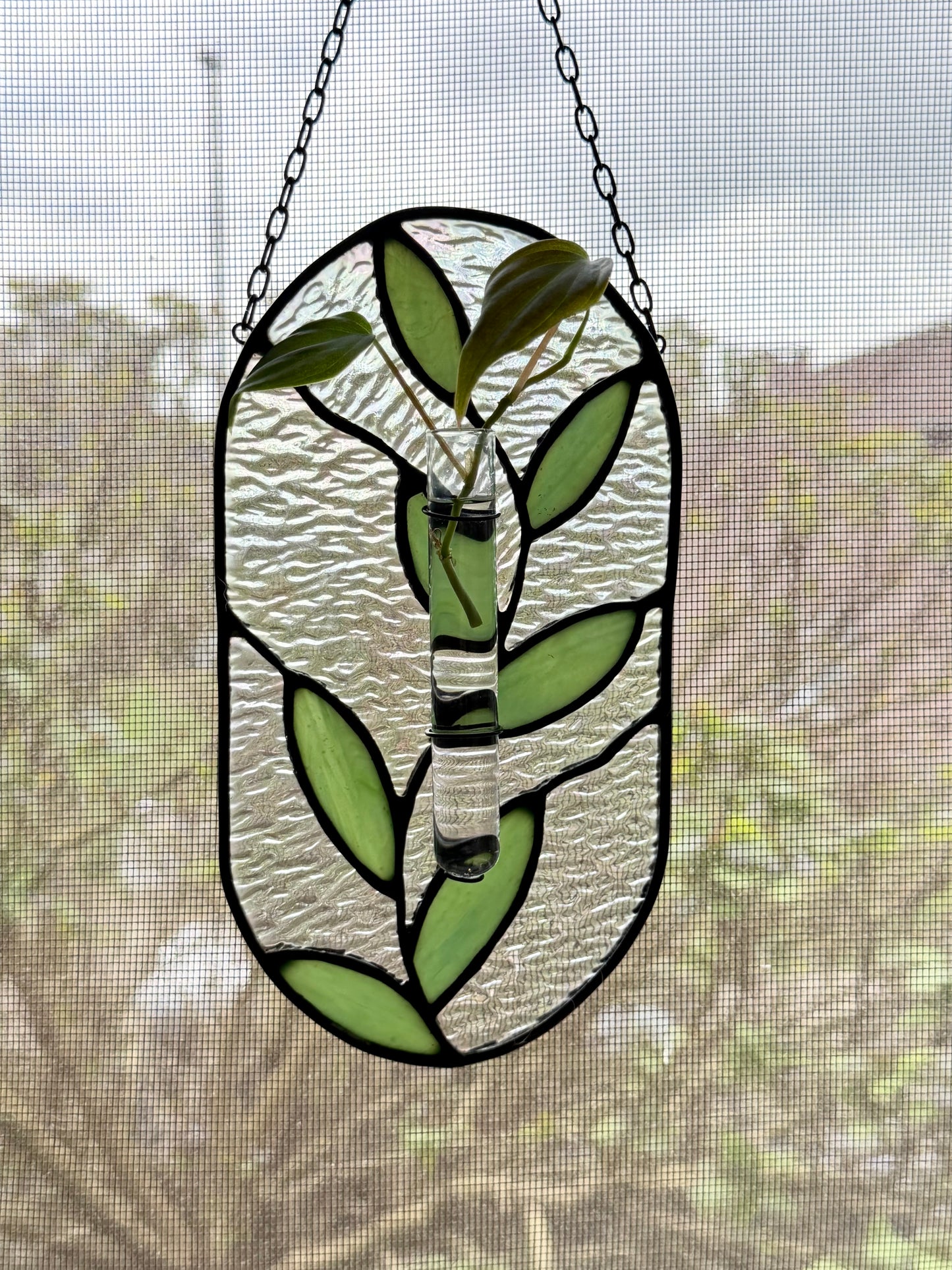 Plant Vine Plant Propagation Stained Glass