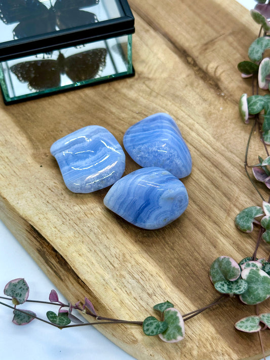 Blue Lace Agate (Chalcedony) Tumble