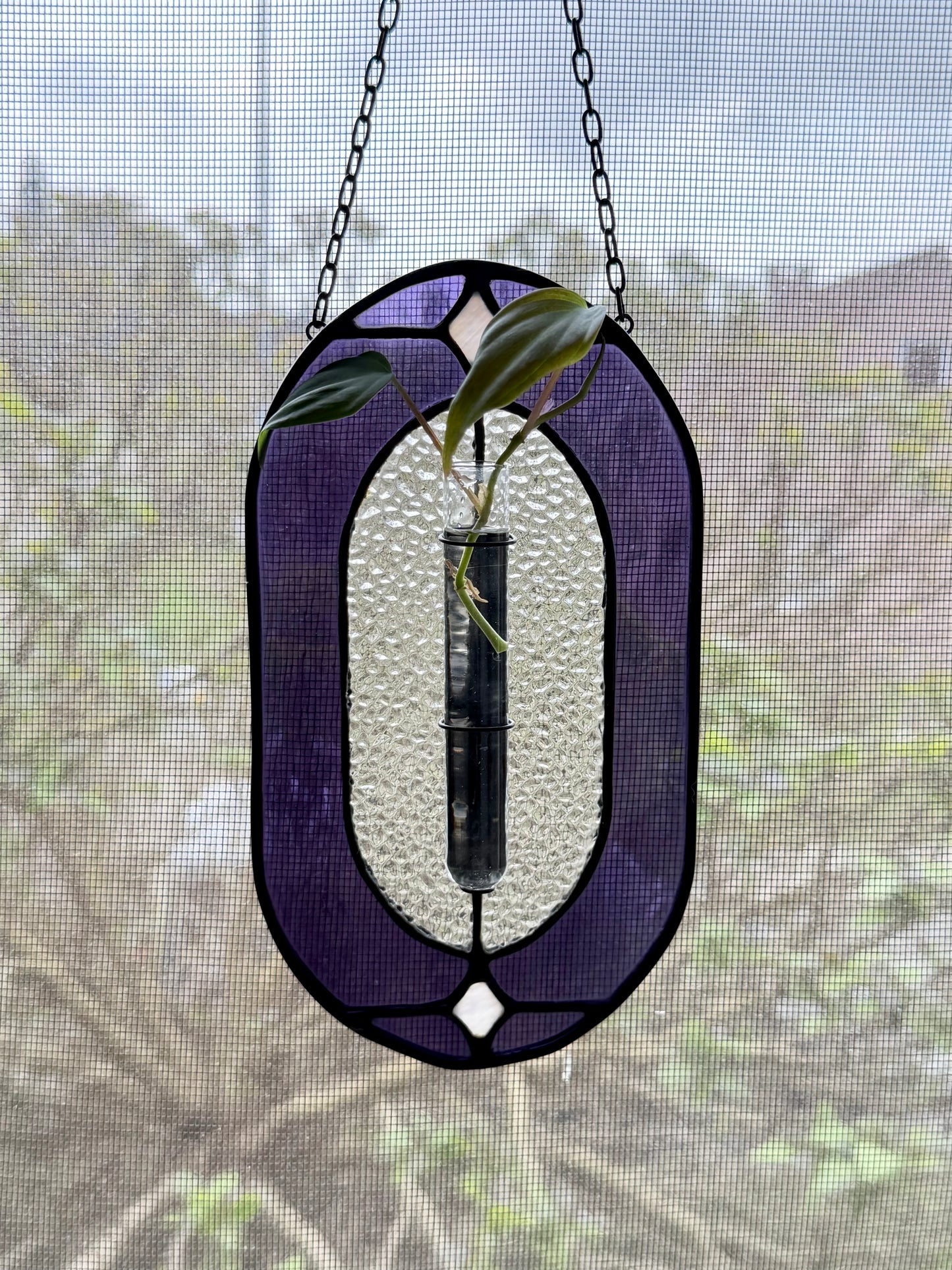 Stars Plant Propagation Stained Glass