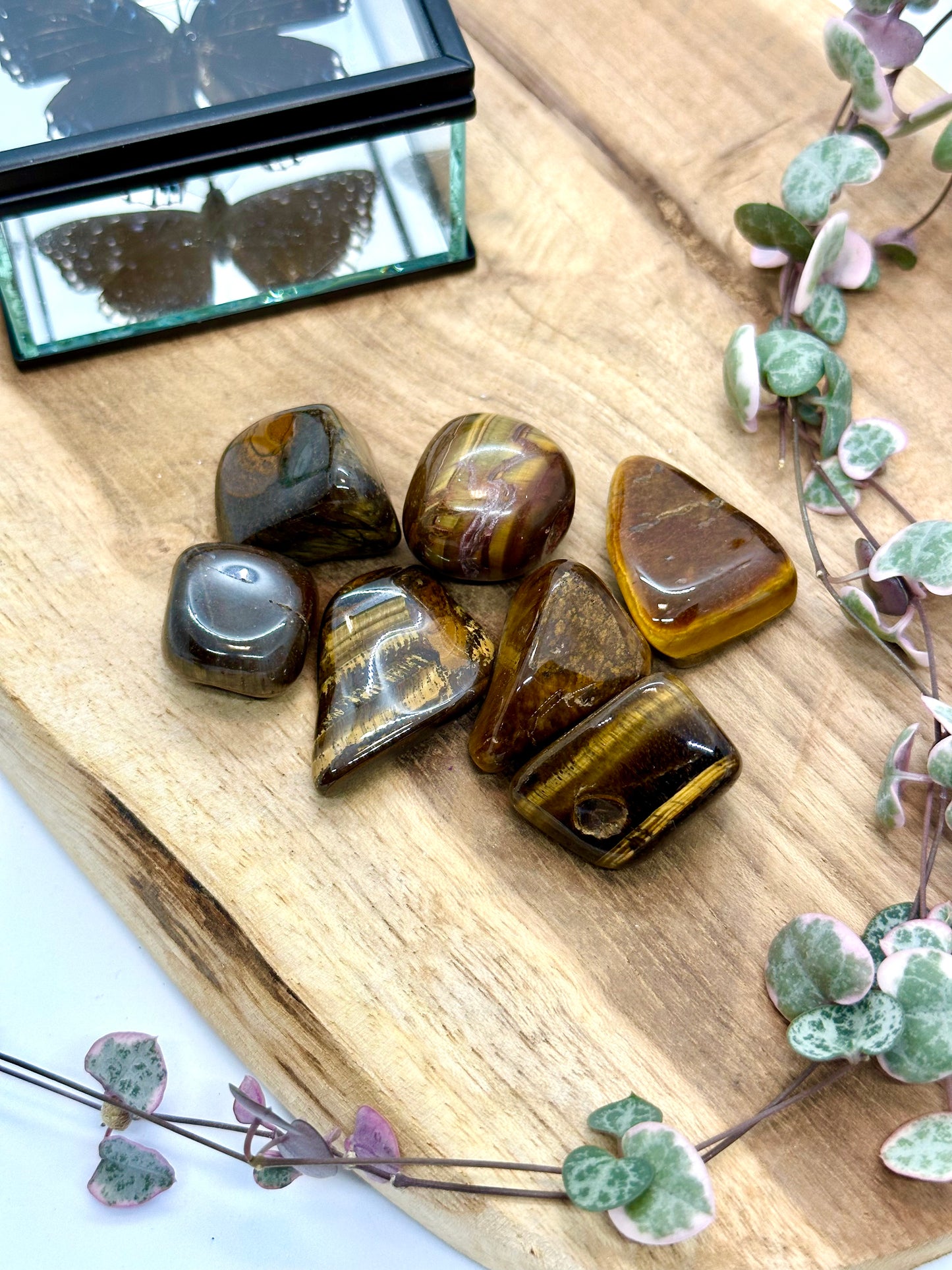 Tigers Eye Tumble