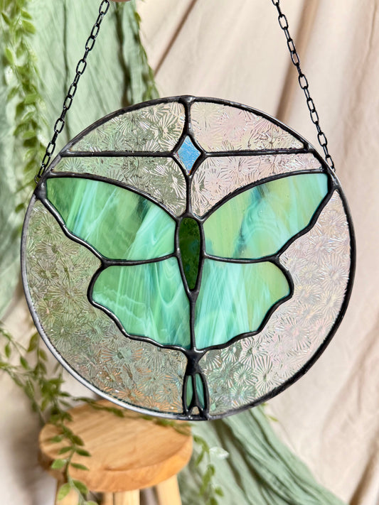 Moth Stained Glass