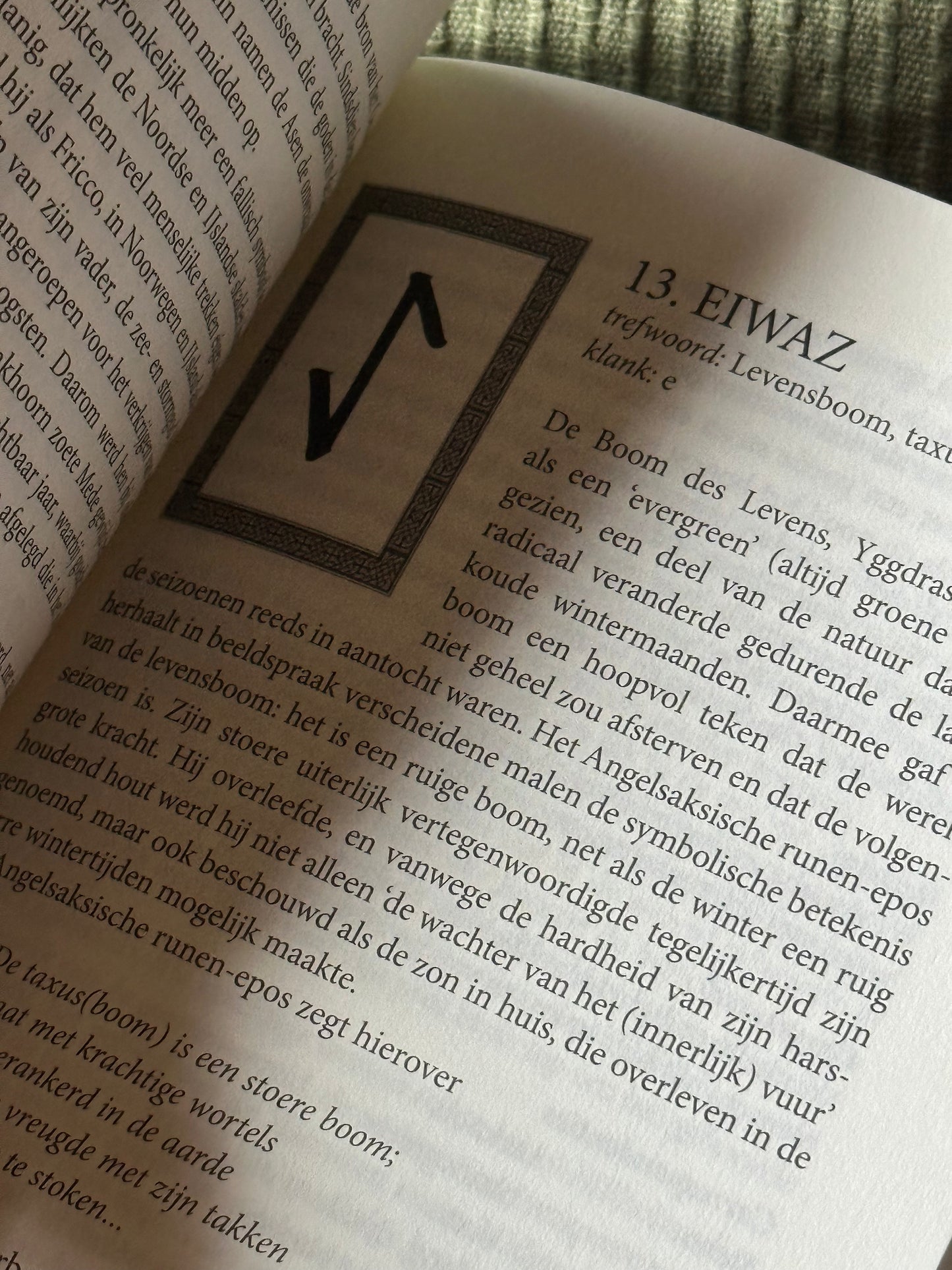 Werken Met De Kracht Van Runen