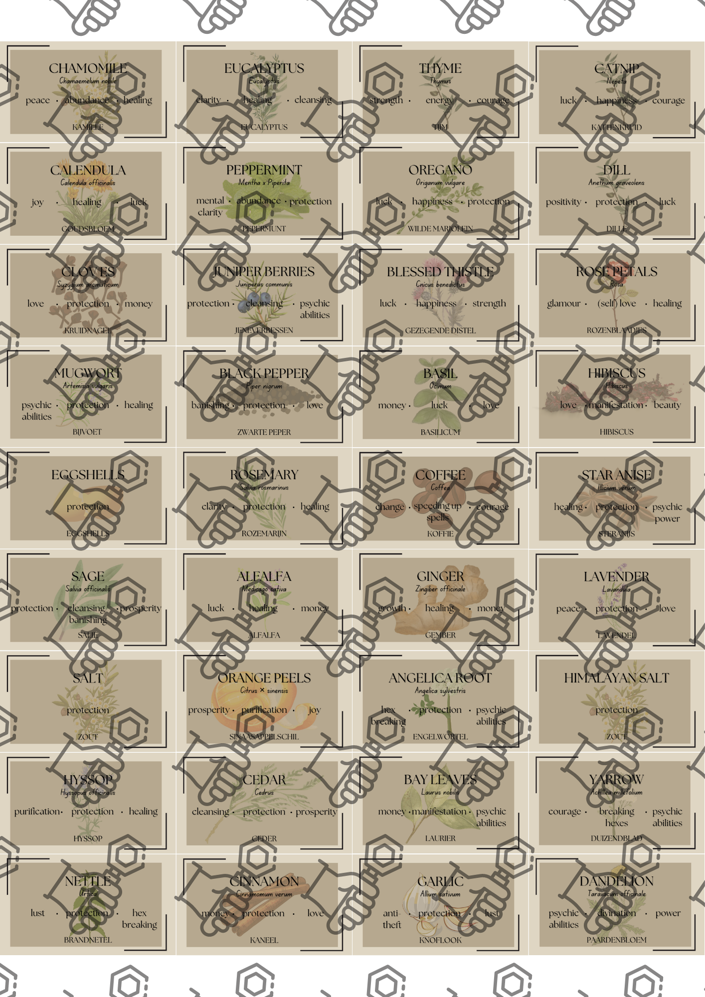 Herb Labels Digital Download